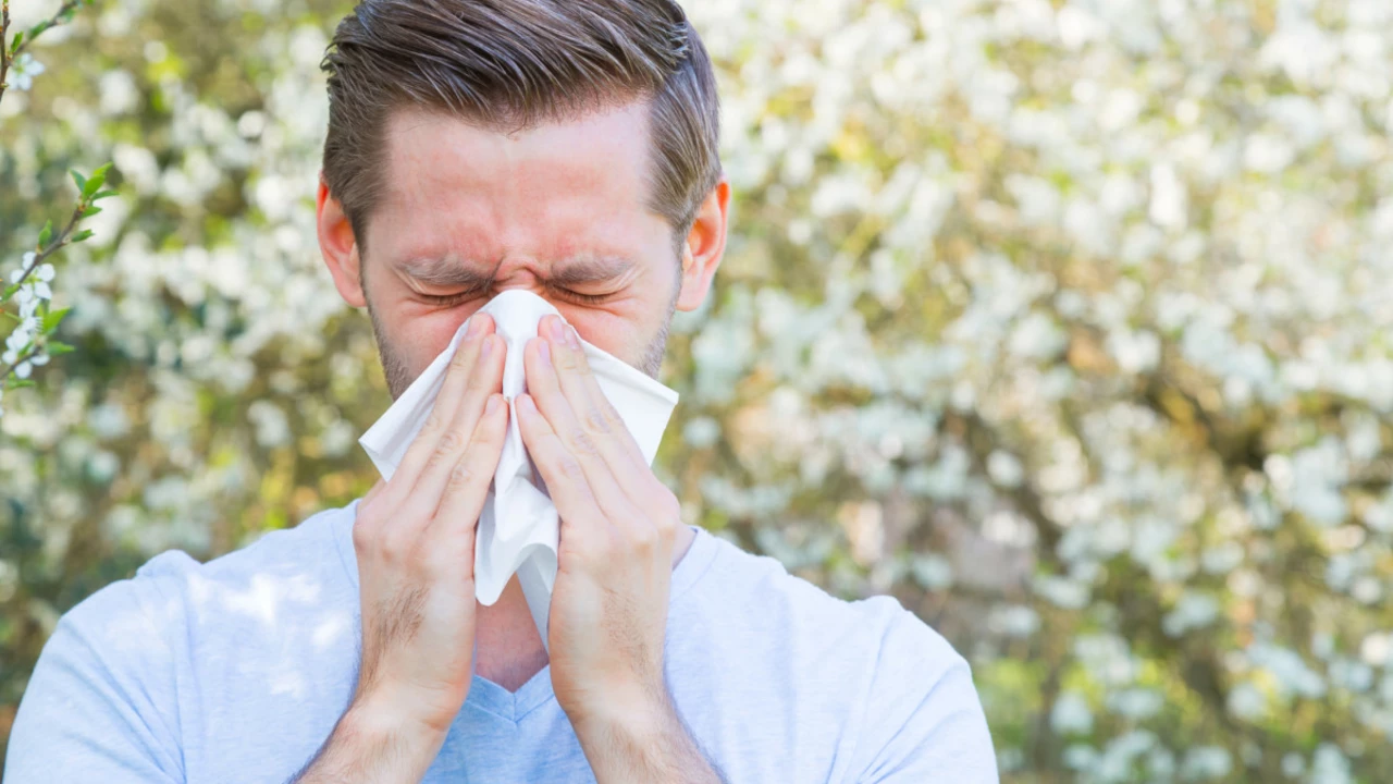 How to support a loved one with severe seasonal allergies